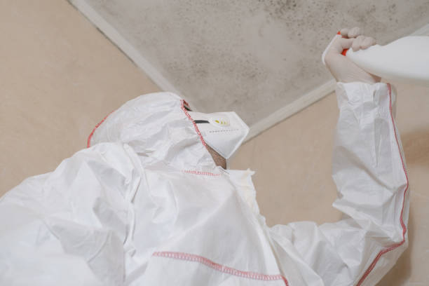 Best Mold Remediation for Schools in Harsville, RI